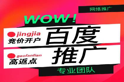 信息流广告公司案例分析：精准投放策略解析